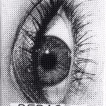 Black and white "Debaser" zine cover. Pixelated close up photoghraph of an eye. Printed text title at the bottom.