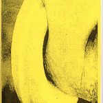 Black on yellow background "Long shot" zine cover. A close up photograph of a cow licking its snout. Bold printed title text on top of the cover.